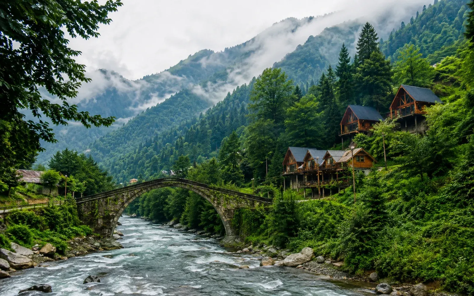 Rize bölge ve rota görünümü